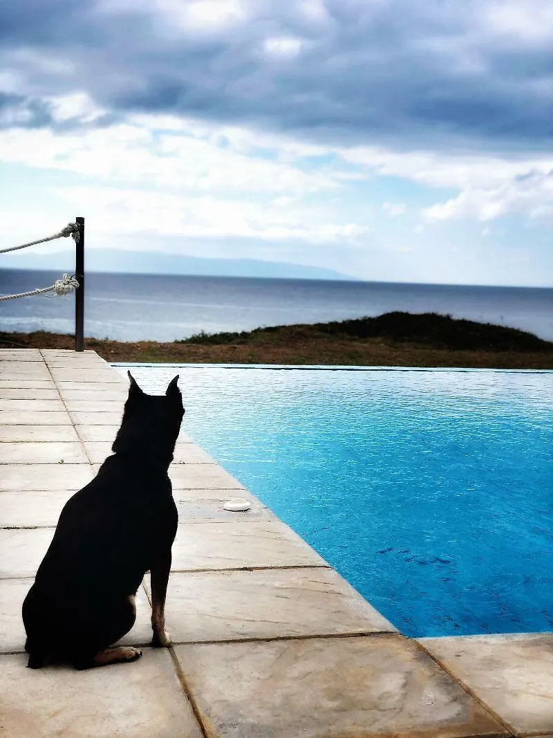 *** Hotel The Seasons Villas Mousata Greece